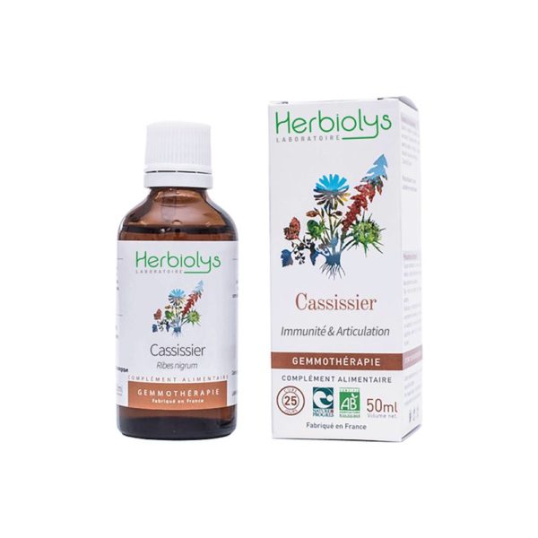 cassissier-cassis-bourgeon-bio-gemmotherapie herbiolys
