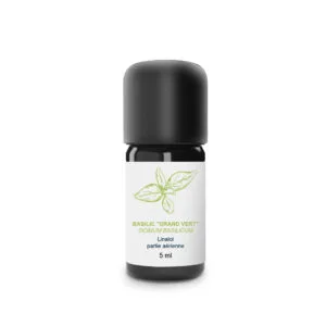 Basilic Grand Vert 2ml bio