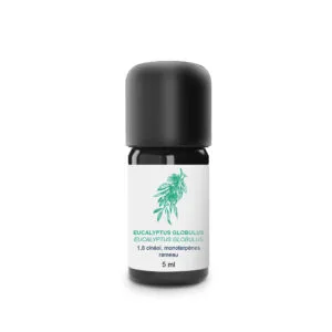 Eucalyptus Globulus 5ml HE Bio - Essenciagua