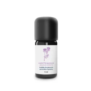Carotte Sauvage 2ml bio