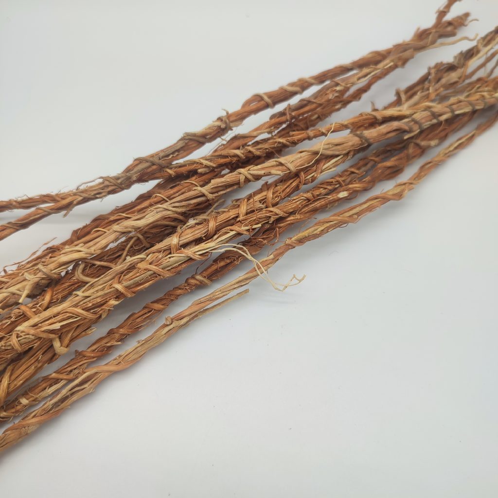 Racines De Vétiver (Khamaré, Gongolili) - Lot De 10 Tiges - Plantes Médicinales - Neuf