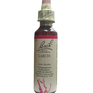 N°19 Original - Larch / Mélèze