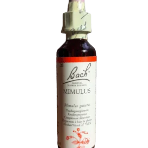 N°20 Original - Mimulus / Mimule