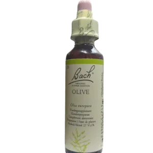 N°23 Original - Olive / Olivier