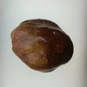 Pomme d’Adam de Médine – Fruit traditionnel du Moyen-Orient