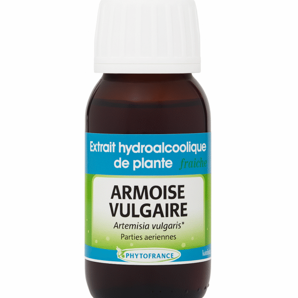 Teinture mere d'Armoise Vulgaire
