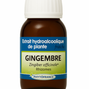 Extrait HydroAlcoolique Gingembre -  60ml