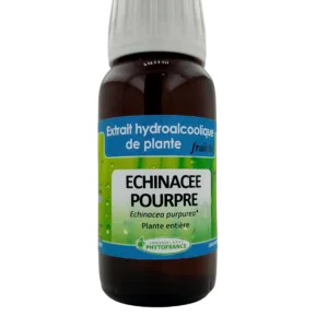 Extrait HydroAlcoolique Echinacéa Pourpre  - 60ml