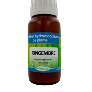 Extrait HydroAlcoolique Gingembre -  60ml