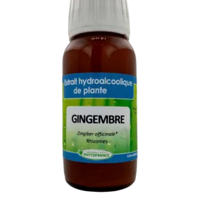 Extrait HydroAlcoolique Gingembre -  60ml