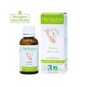 Chêne, Macérât de bourgeons bio, sans alcool