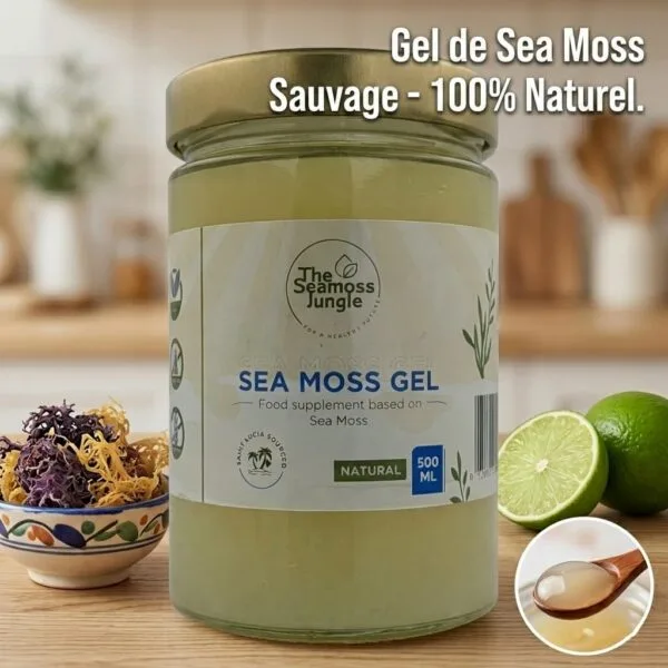sea-moss-colloidal-naturel Pot en verre préservant les minéraux et la texture mucilagineuse de l'Eucheuma Cottonii.
