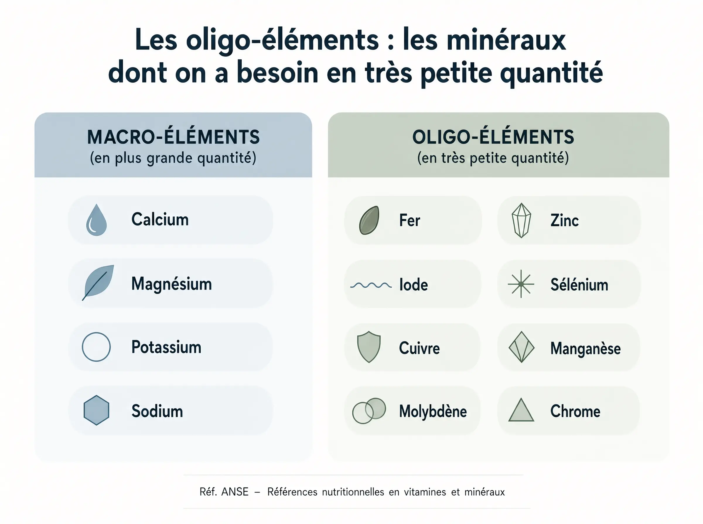 Infographie : les minéraux dont le corps a besoin — oligo-éléments (fer, zinc, iode, sélénium, cuivre, manganèse, molybdène, chrome) et macro-éléments (calcium, magnésium, potassium, sodium), d'après les références nutritionnelles de l'ANSES.