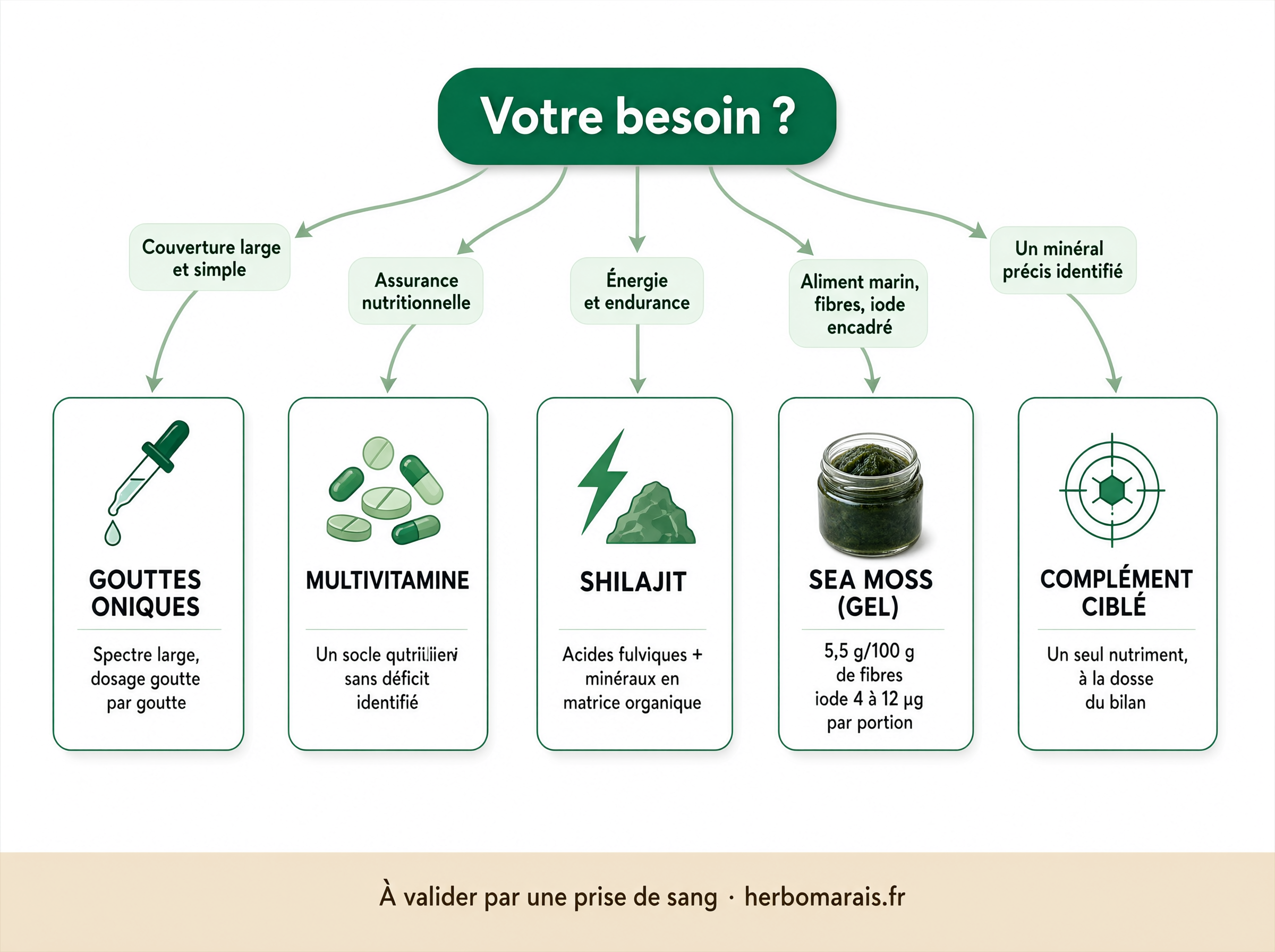 Arbre de décision pour choisir son complément d'oligo-éléments selon son besoin : couverture large (gouttes ioniques), assurance générale (multivitamine), énergie (shilajit), aliment marin avec fibres et iode encadré (sea moss), ou minéral précis (complément ciblé).