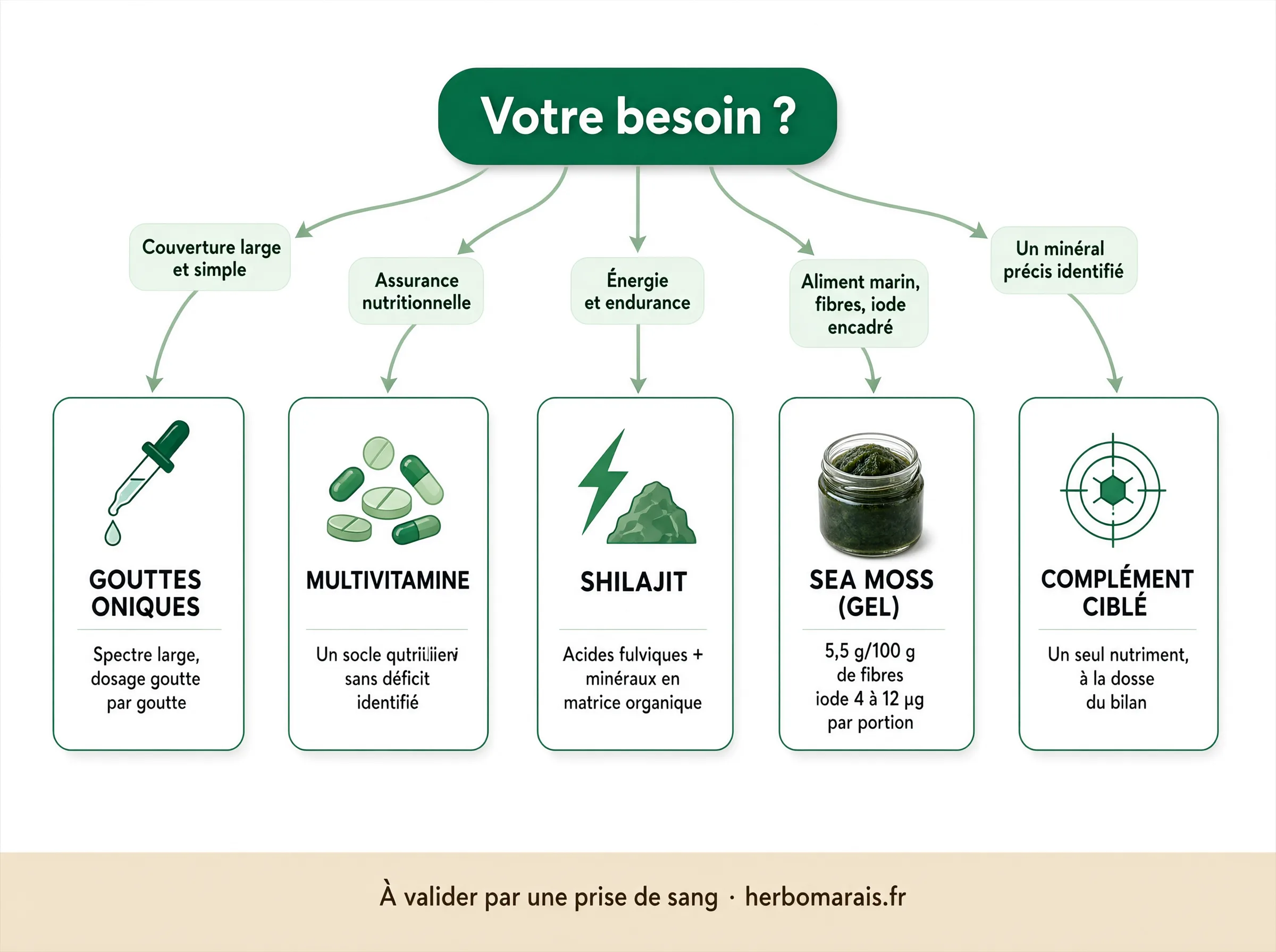 Arbre de décision pour choisir son complément d'oligo-éléments selon son besoin : couverture large (gouttes ioniques), assurance générale (multivitamine), énergie (shilajit), aliment marin avec fibres et iode encadré (sea moss), ou minéral précis (complément ciblé).